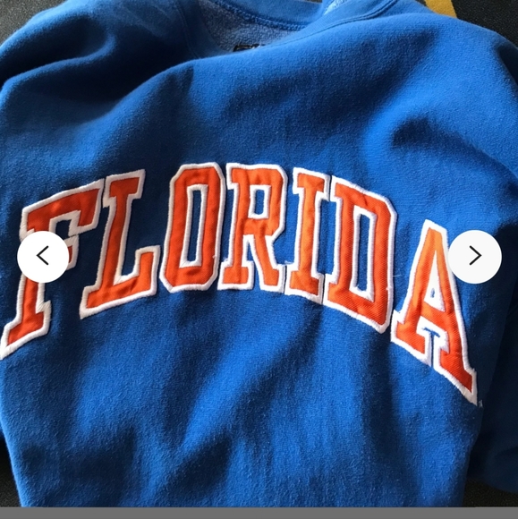 Florida Hoodie - Picture 3 of 3